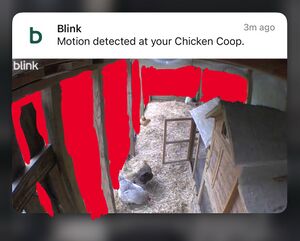 Blink Outdoor 3 Notification.jpg