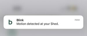 Blink Outdoor 4 Notification.jpg