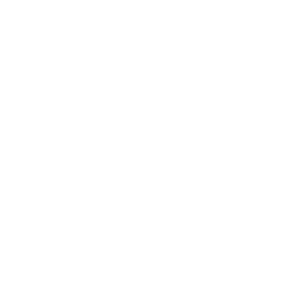 Shield.png