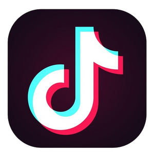 Tiktok logo.png