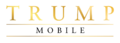 Thumbnail for version as of 23:38, 26 June 2025